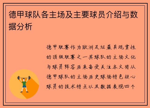 德甲球队各主场及主要球员介绍与数据分析