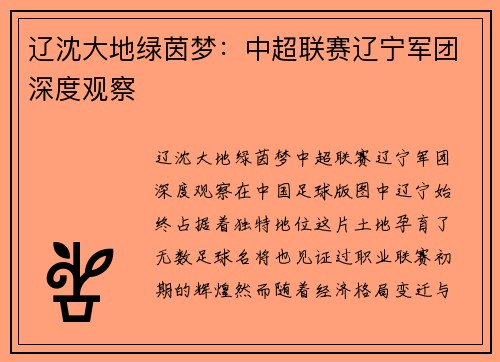 辽沈大地绿茵梦：中超联赛辽宁军团深度观察